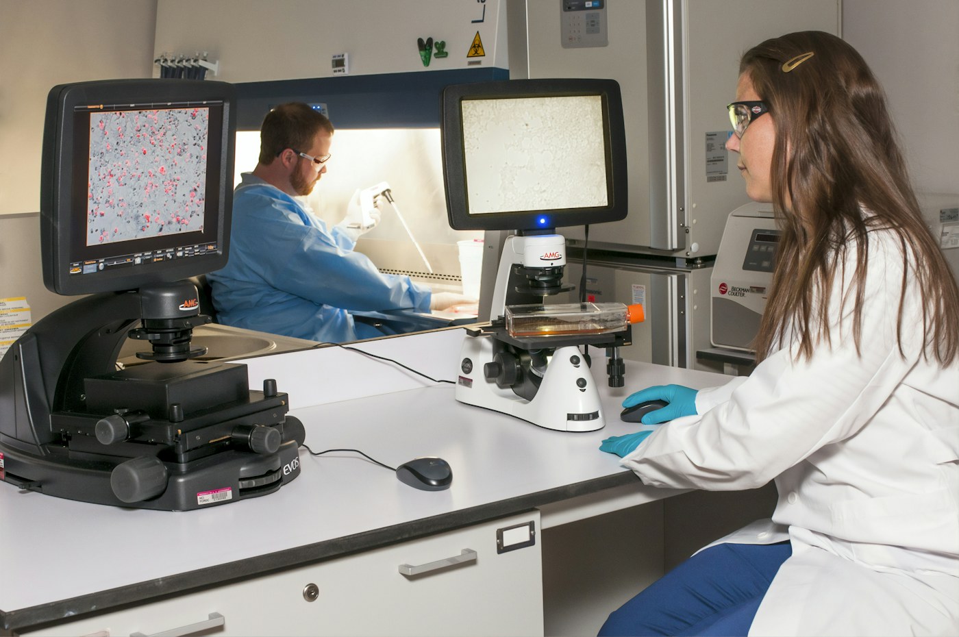 Laboratory technicians examining samples with microscopy and pipetting equipment